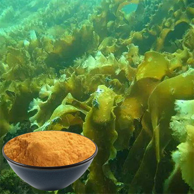 Fucoxanthin