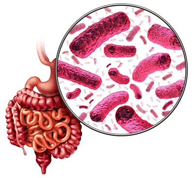 prebiotic products for sale -Realclearbio