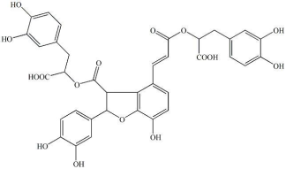 Salvianolic Acid B -RealclearBio