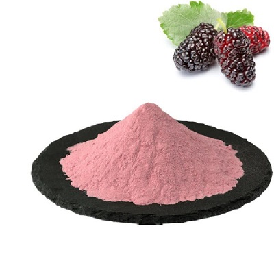 mulberry extract powder cost - RealclearBio