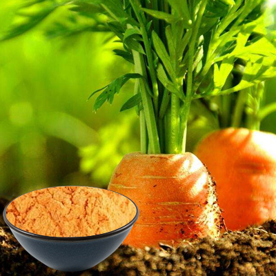 Carrot Powder