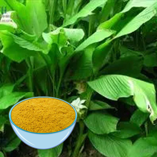 Turmeric Extract