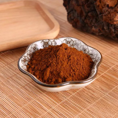 Chaga Extract