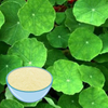 Gotu Kola Extract