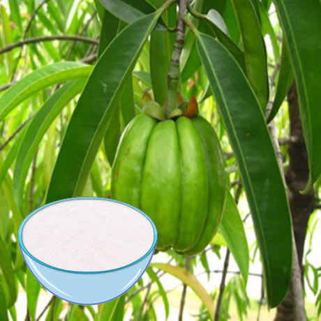 Garcinia Cambogia Extract