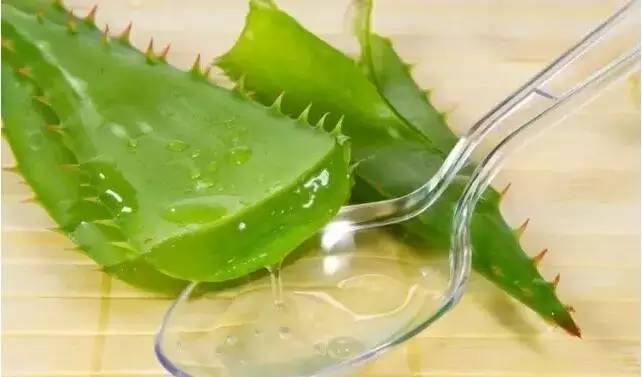 Aloe Vera Extract-1