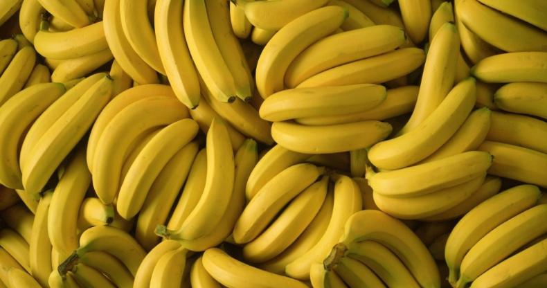 banana powder cost-ruikeli